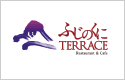 դΤTERRACE